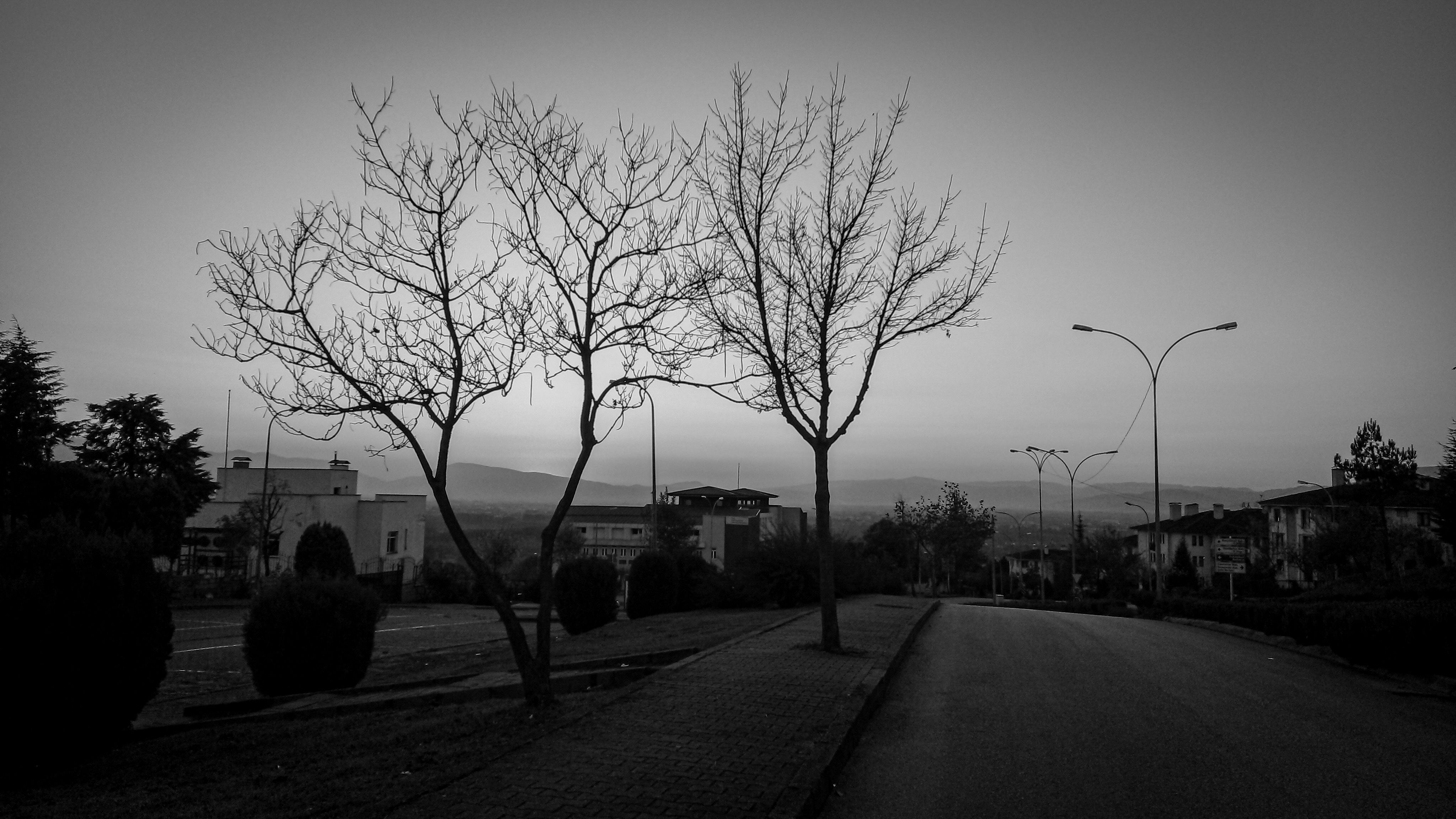 quiet suburban cul-de-sac street early morning empty
