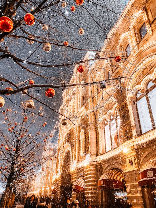 Series of Leafless Trees with Christmas Baubles Fronting a Gold Well Lit Building