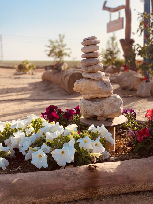 Free Stacked rocks and vibrant flowers create a peaceful garden scene in natural light. Stock Photo