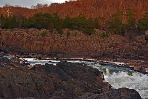 Free stock photo of background, great falls, virginia