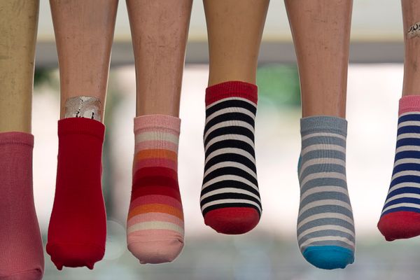 Novelty Pickle Socks