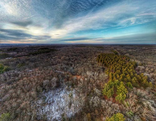 Foto stok gratis hdr, hutan, hutan negara ketel moraine