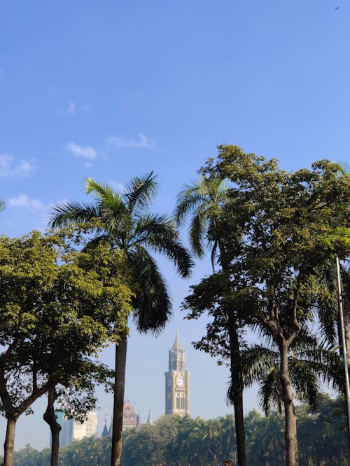 Ilmainen kuvapankkikuva tunnisteilla arkkitehtuuri, luonto, mumbai