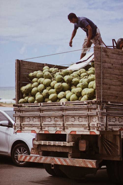 Kostenloses Stock Foto zu beladen, frucht, laster