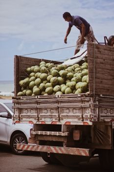 Photo by Priscila Almeida A man loads fresh coconuts onto a truck near a scenic beach under a clear sky.