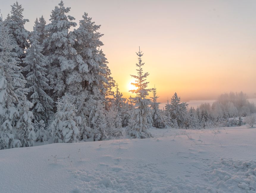 Serene winter landscape with snow-covered trees and a glowing sunset in a tranquil forest.
