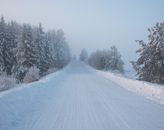 A tranquil winter scene featuring a snow-covered road flanked by frost-laden trees under foggy skies.