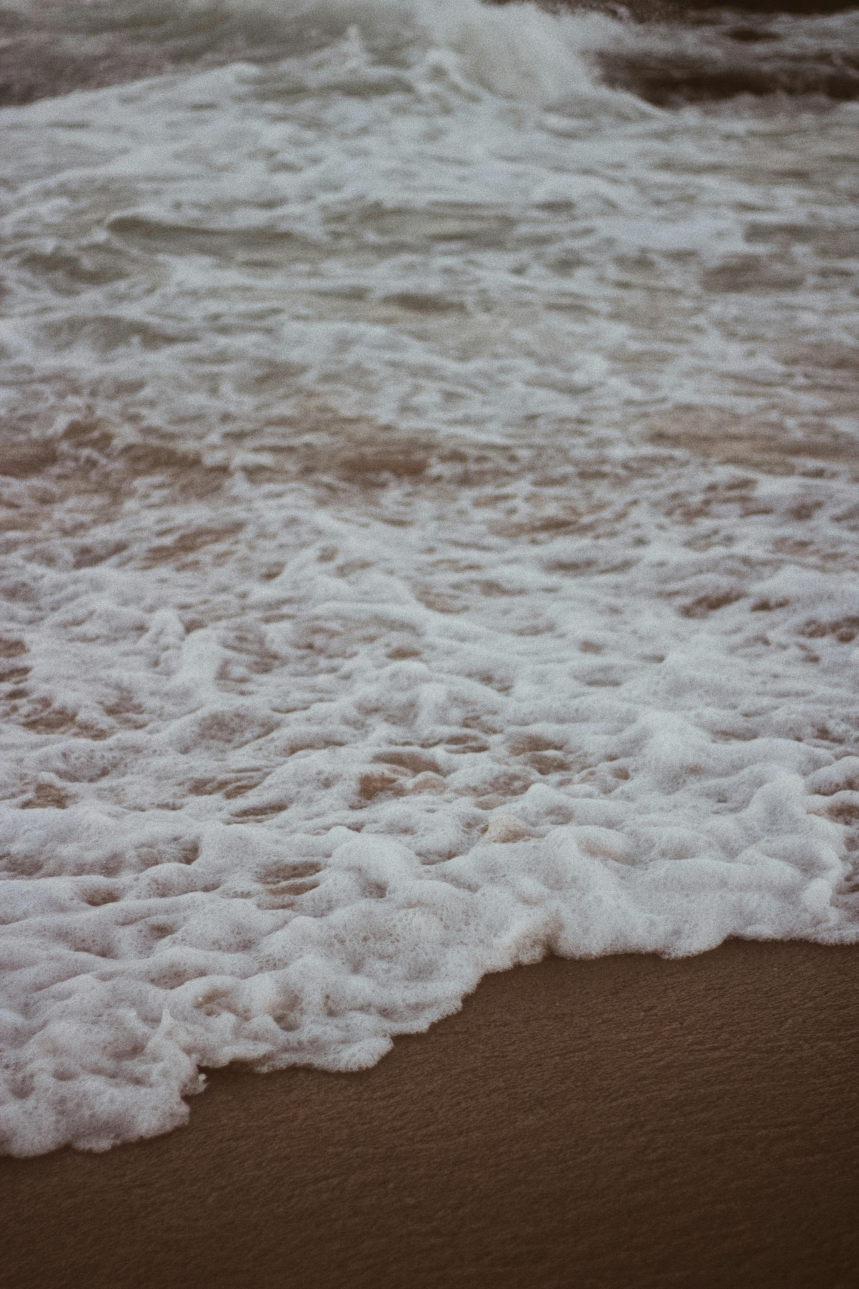 Photo by Priscila Almeida