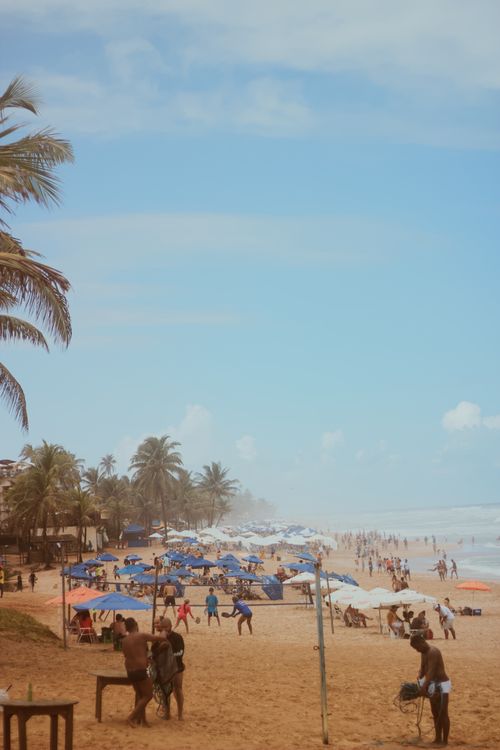 Free A vibrant summer beach scene with umbrellas, palm trees, and people enjoying the sun. Stock Photo