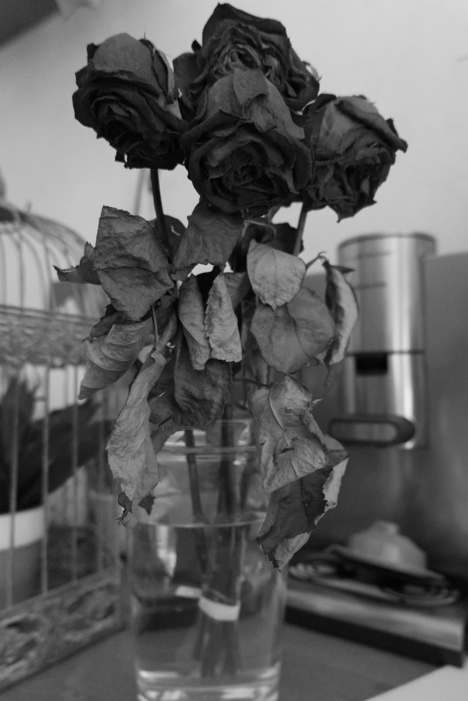 Bouquet de roses fanées dans un vase en verre en noir et blanc