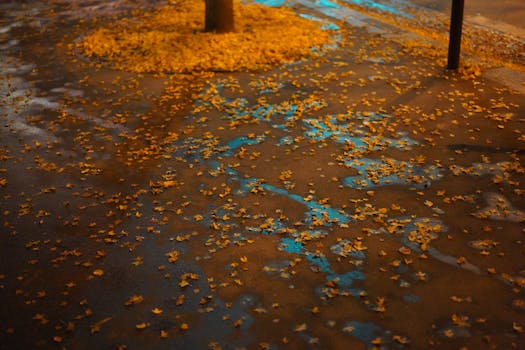 Wet pavement in Paris with fallen autumn leaves at night, capturing moody urban atmosphere.