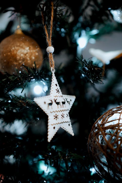 Fotobanka s bezplatnými fotkami na tému celebrita, dekorácia, ornament