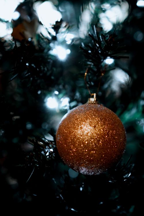 Free Glittery gold Christmas bauble hanging on a tree with a blurred festive background. Stock Photo