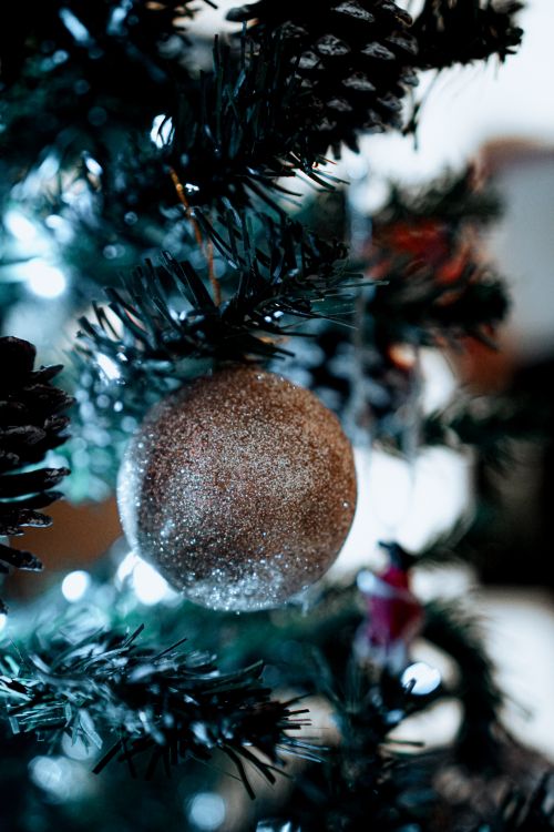 Free Close-up of a glittering gold ornament hanging on a Christmas tree branch indoors. Stock Photo