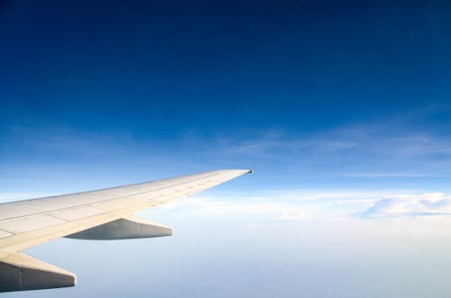 無料 航空機の翼の写真 写真素材