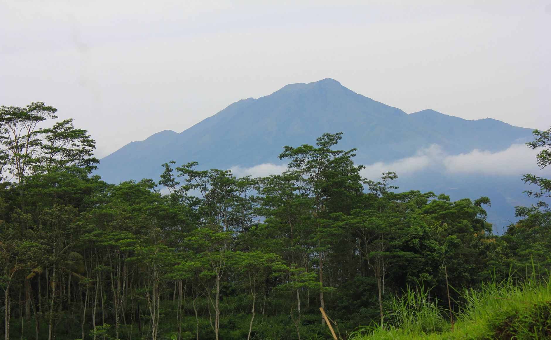 Pemandangan hijau pegunungan dengan langit cerah di Gunung Merbabu