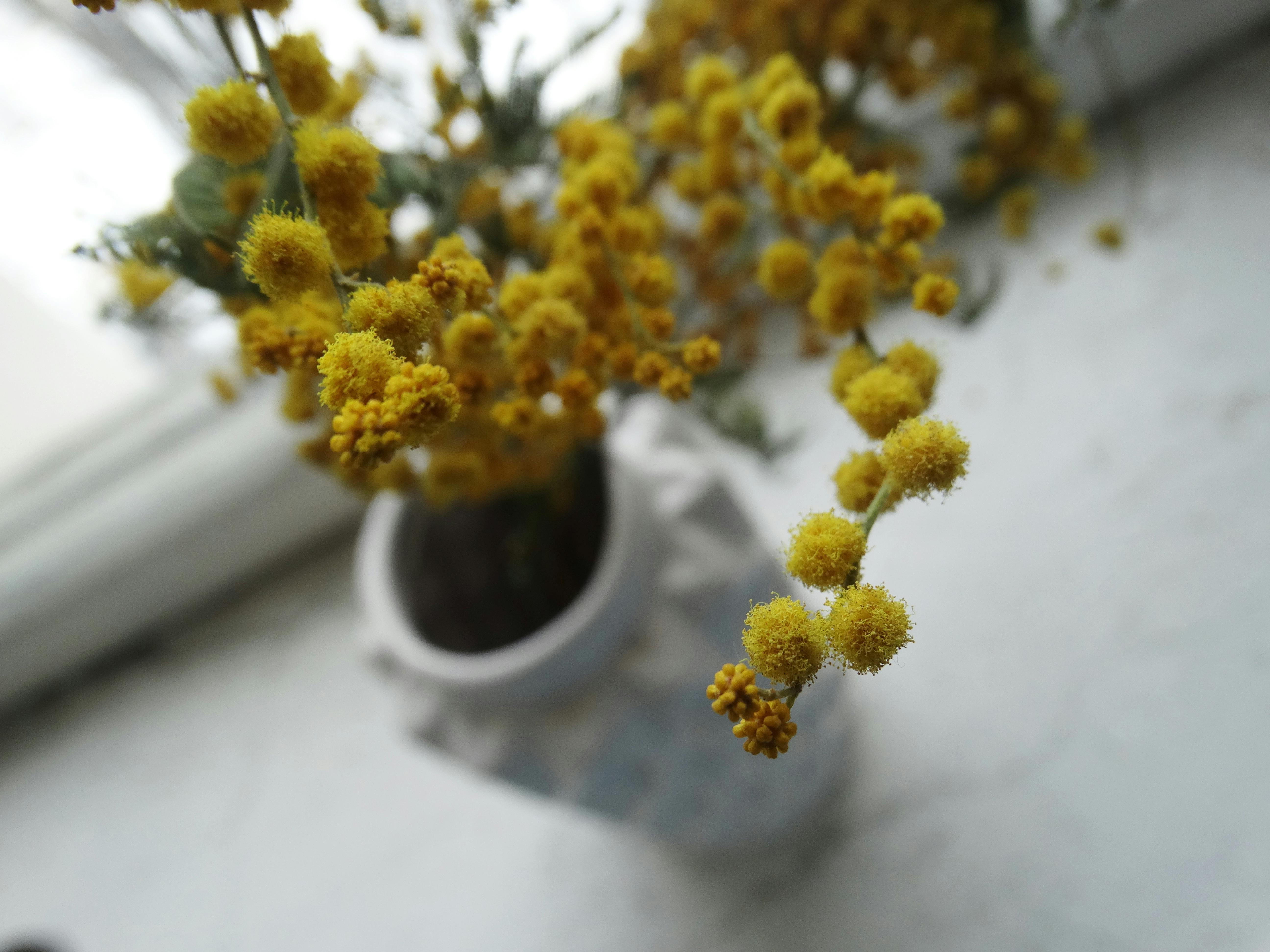 pexels photo 1056610