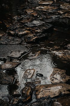 Raindrops create ripples on a wet stone path, creating a moody and textured scene.