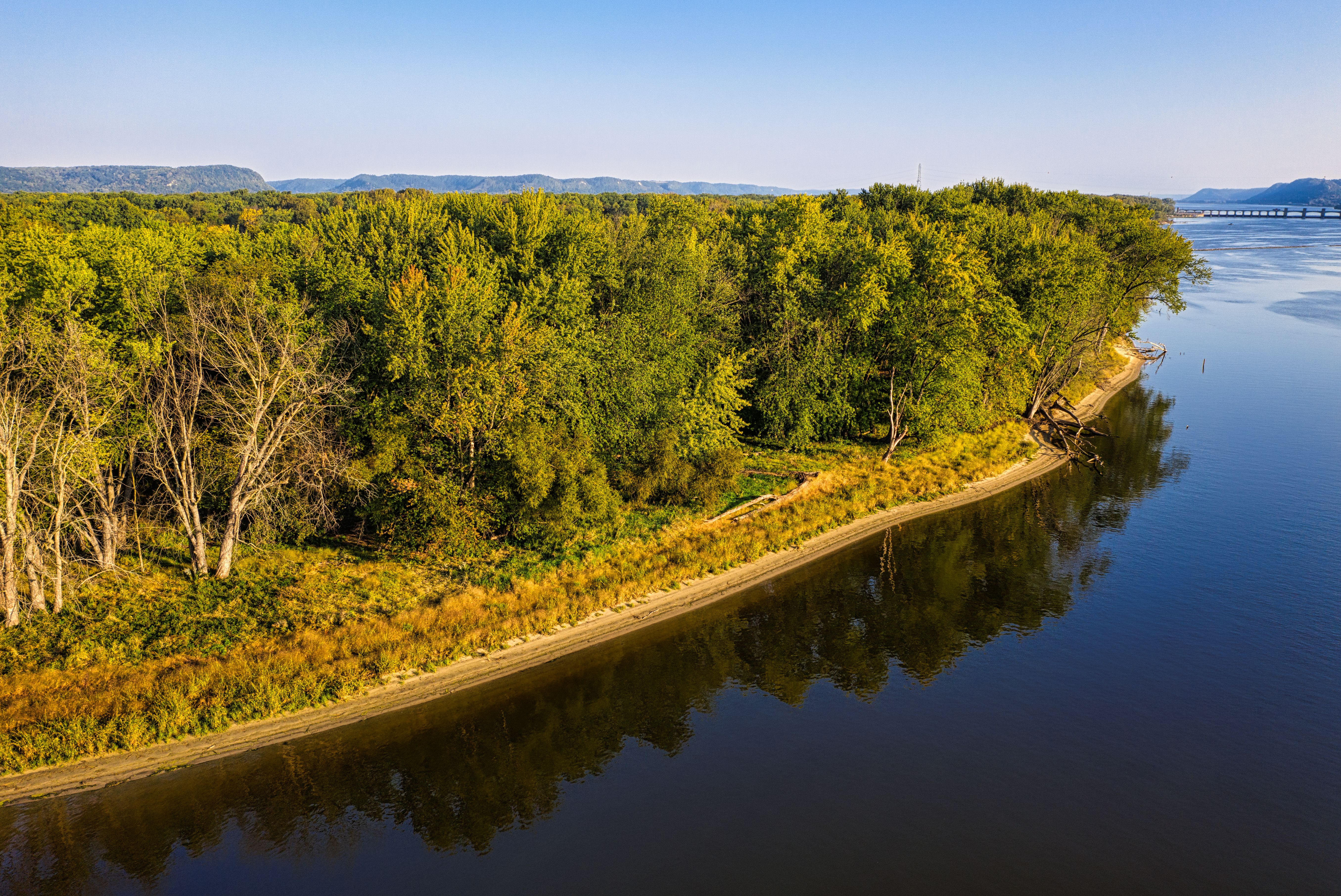 A Green Trees Beside the Body of Water Under the Blue Sky · Free Stock ...