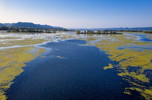 Blue Lake with Green Seaweed