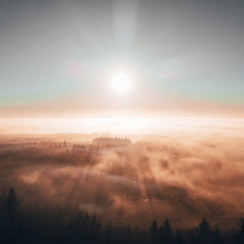 Aerial view of fog rolling over a forest at sunrise — photo by Lewis Ashton on Pexels