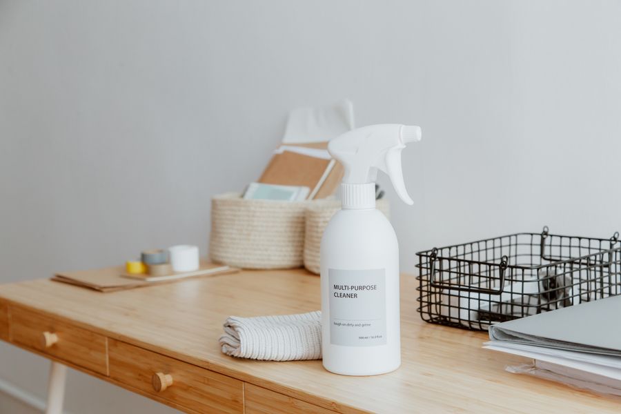 Company's Lissy Cleaning Service project