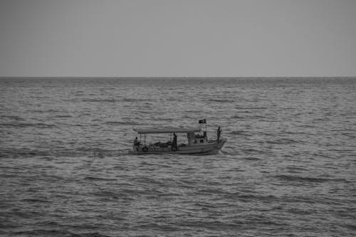 Foto d'estoc gratuïta de blanc i negre, creuer, embarcació d'aigua