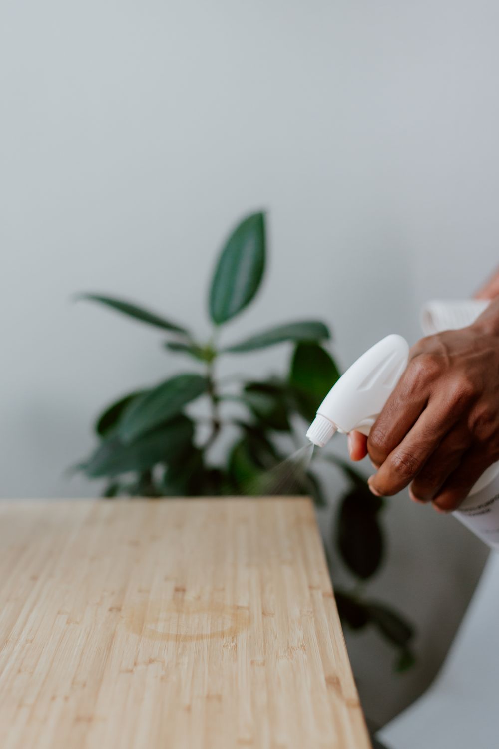 Hand misting a table with a botanical cleaning spray
