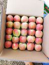 A Red Apple Fruits on a Carton Box