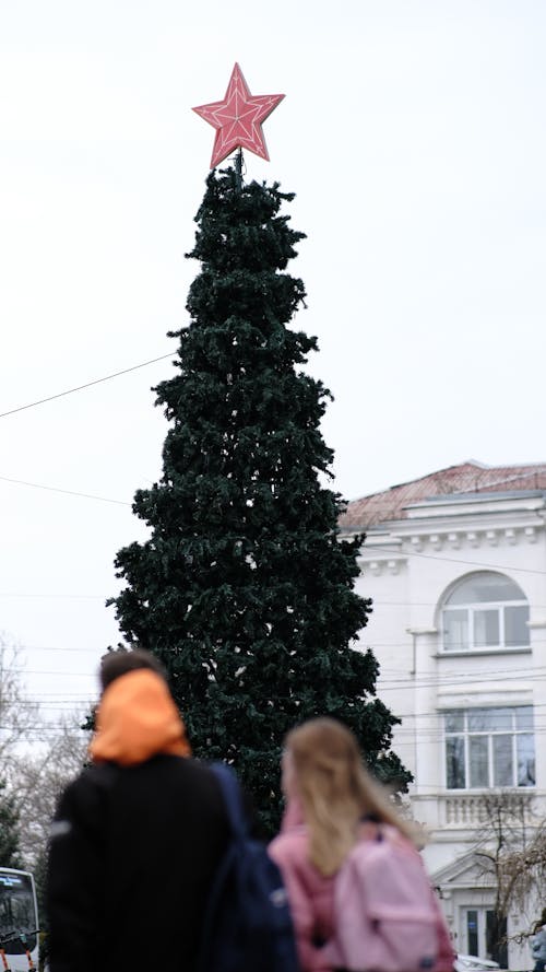 Big Christmas Tree on a Square in City 