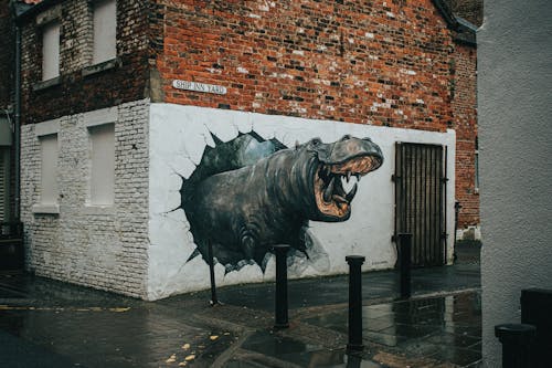 A Mural Painting on the Wall of a Building