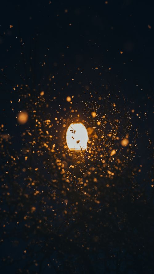 Free A close-up of a glowing lamp at night surrounded by swarming insects, creating a mystical abstract effect. Stock Photo