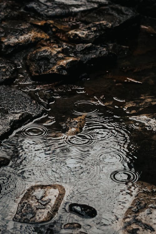 Bezpłatne Darmowe zdjęcie z galerii z deszczowa pogoda, deszczowy dzień, kałuża Zdjęcie z galerii