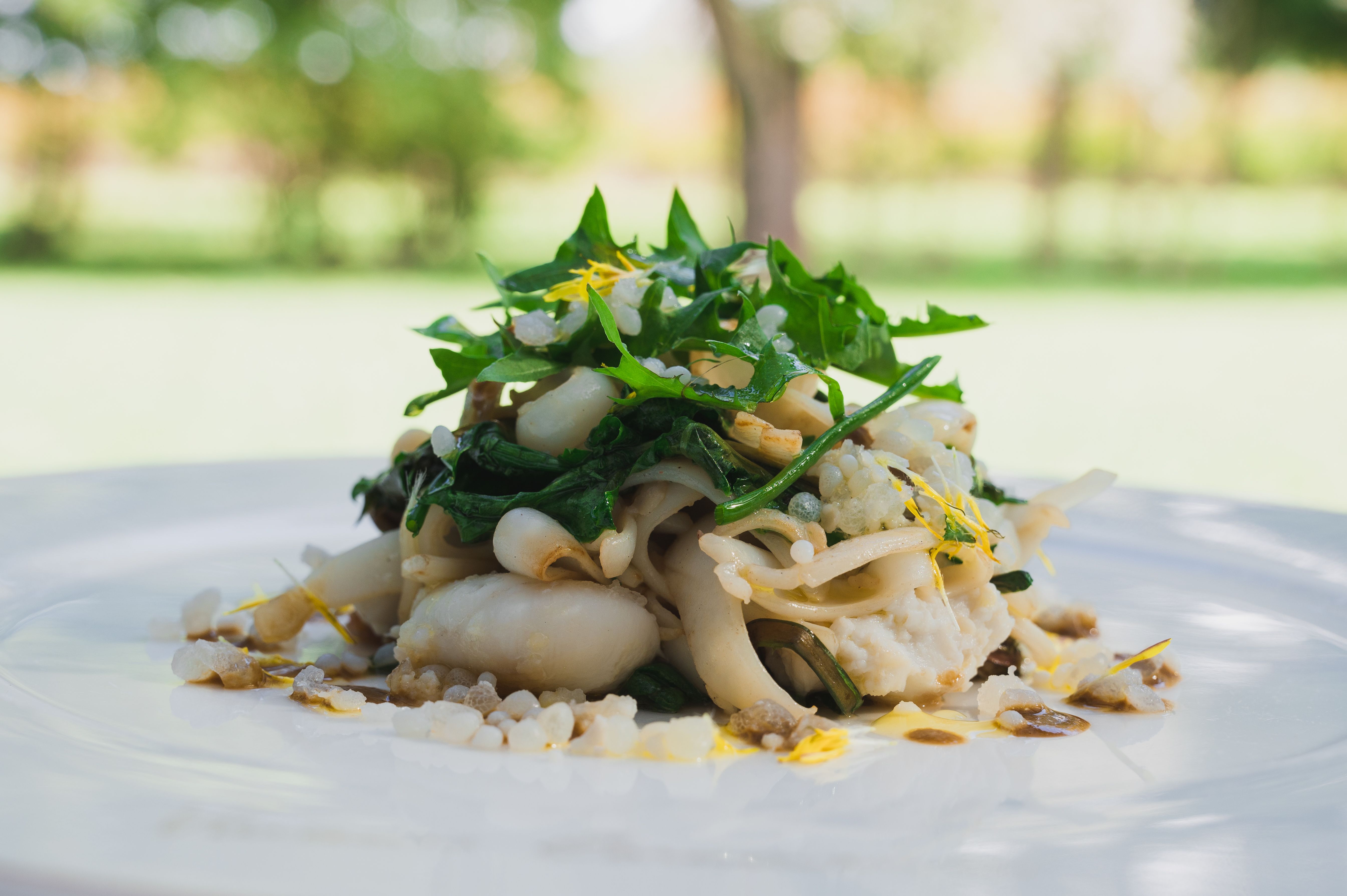 Truffle pasta, Croatia