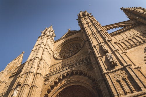 無料 スペイン, パルマ, 大聖堂の無料の写真素材 写真素材