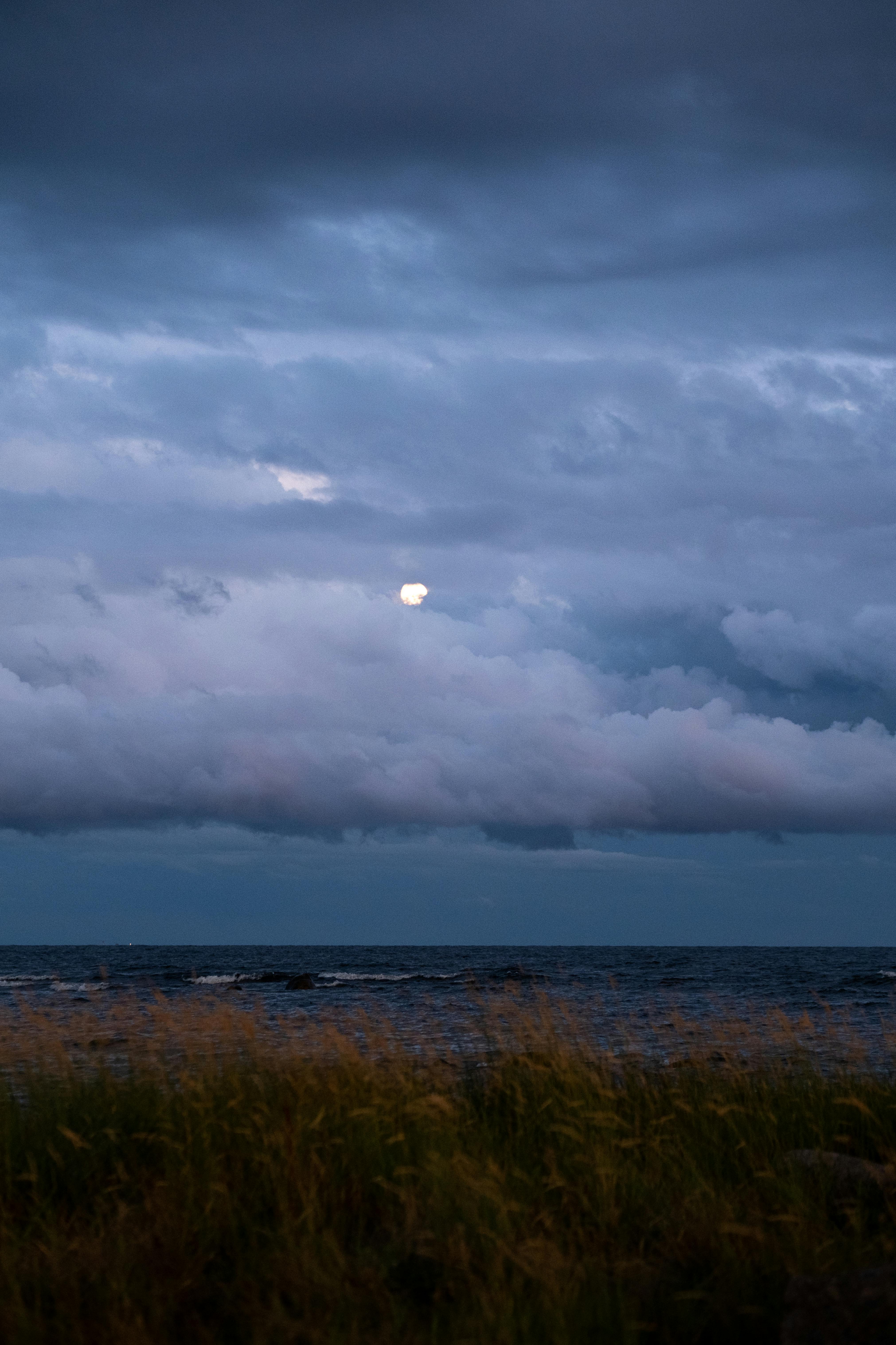 8,000+ Best Moon Images · 100% Free Download · Pexels Stock Photos