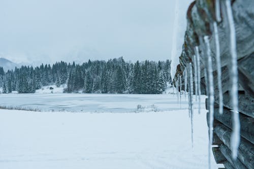 Δωρεάν στοκ φωτογραφιών με καιρός, κρύο, παγετός Φωτογραφία από στοκ φωτογραφιών