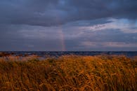 海岸景观上彩虹的壮丽景色，金色的灯心草，描绘了一个宁静的夏夜