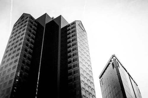 Základová fotografie zdarma na téma architektura, budovy, černý a bílý