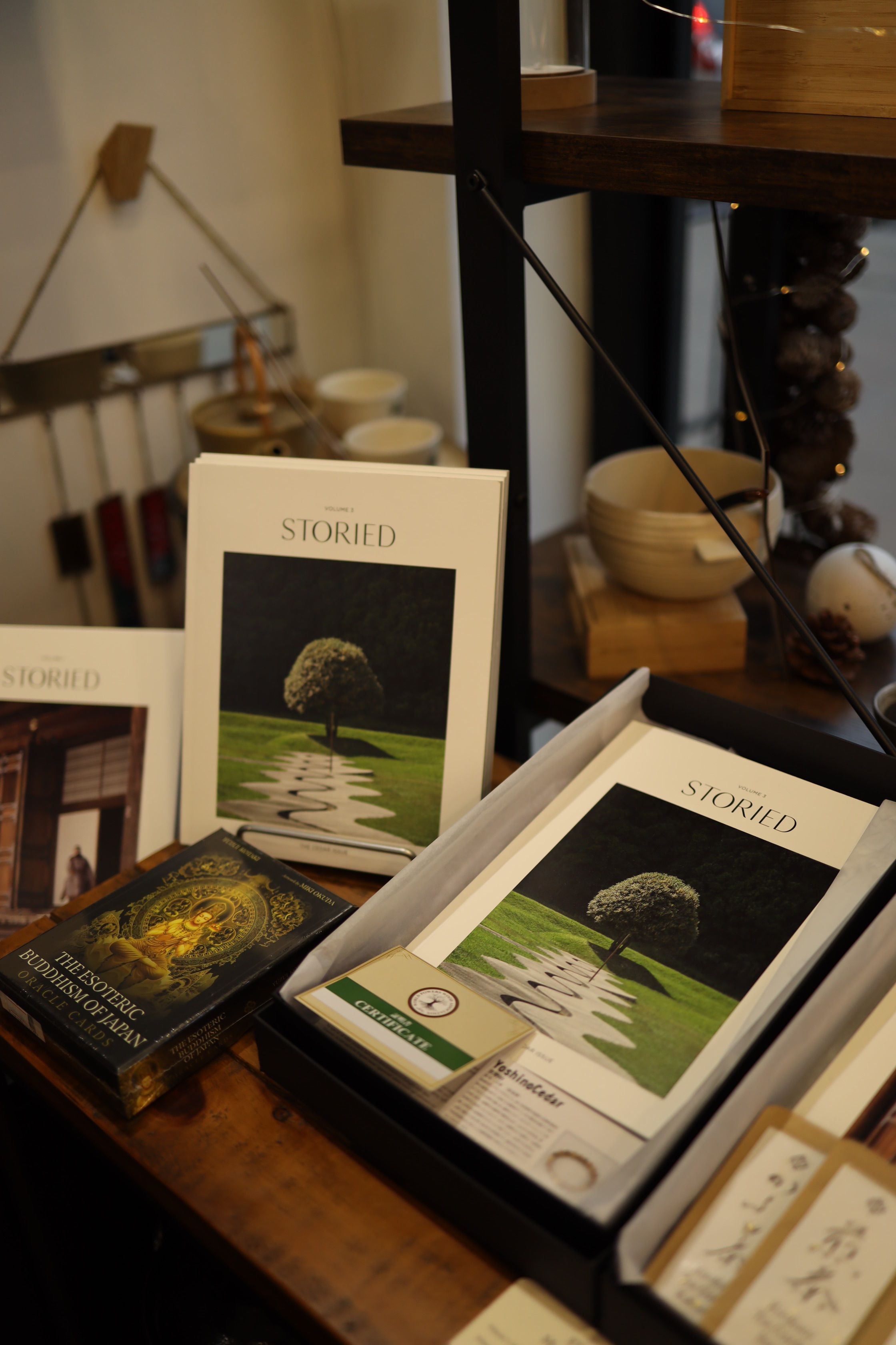 A curated selection of books displayed elegantly on a wooden shelf in an indoor setting.