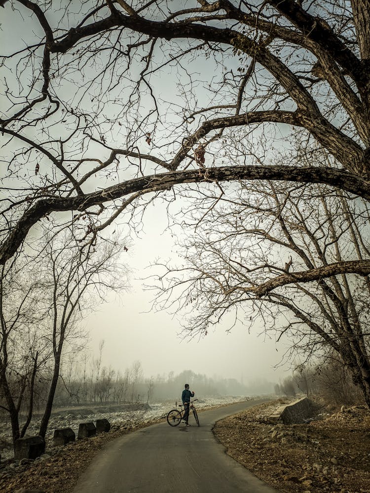 Cyclist On Road Near River