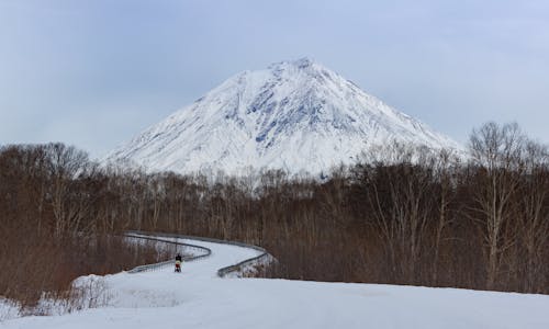 冬季, 大雪覆蓋, 天性 的 免費圖庫相片