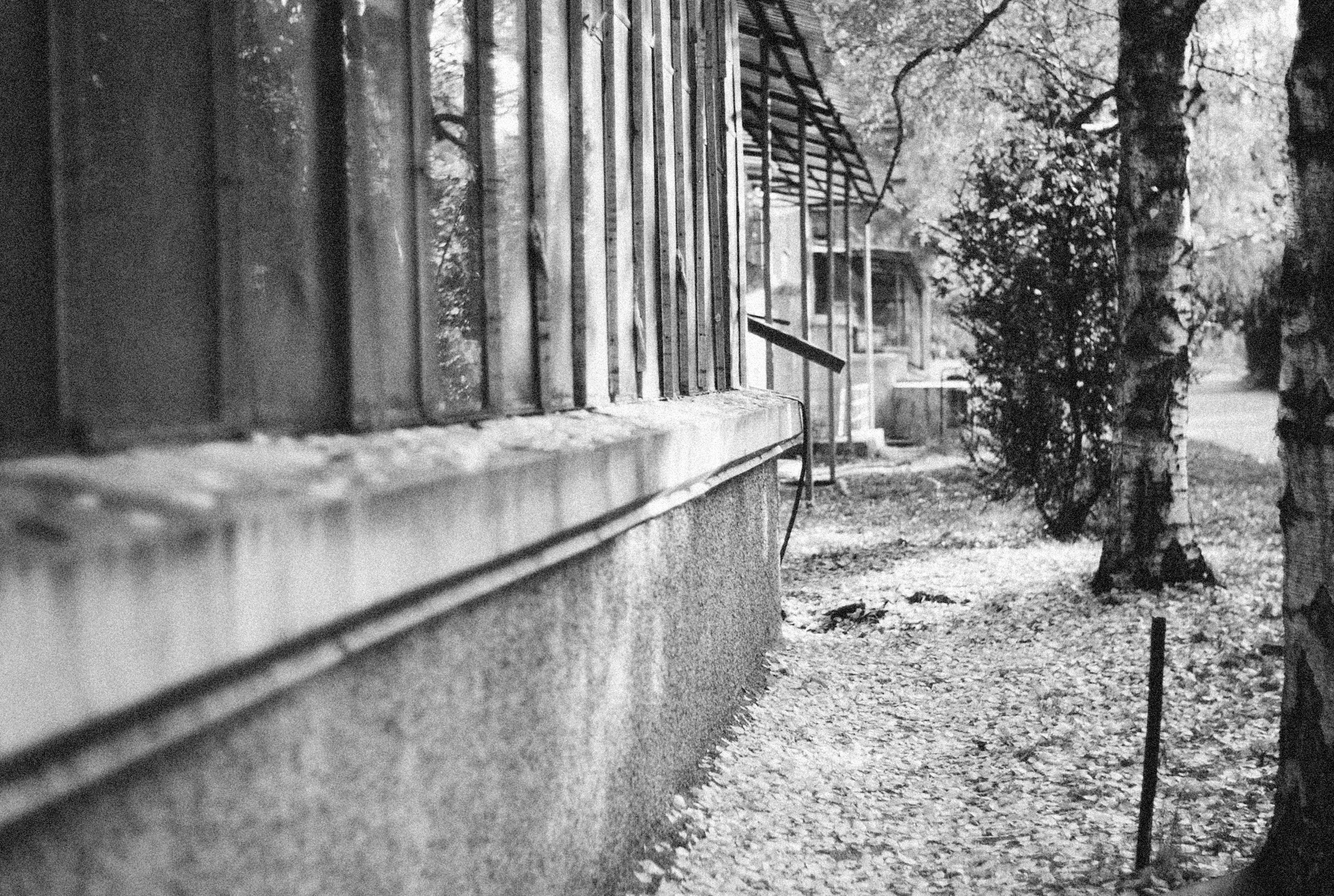 Black and White Cottage under Autumnal Tress · Free Stock Photo