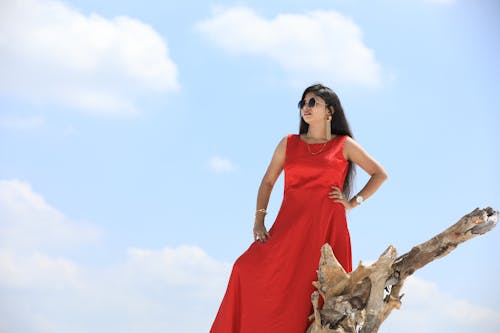 Free A Woman in Red Sleeveless Dress Standing on Brown Tree Log Stock Photo