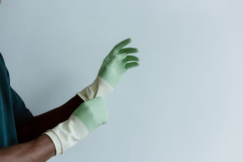 Free Putting on Green Latex Gloves  Stock Photo