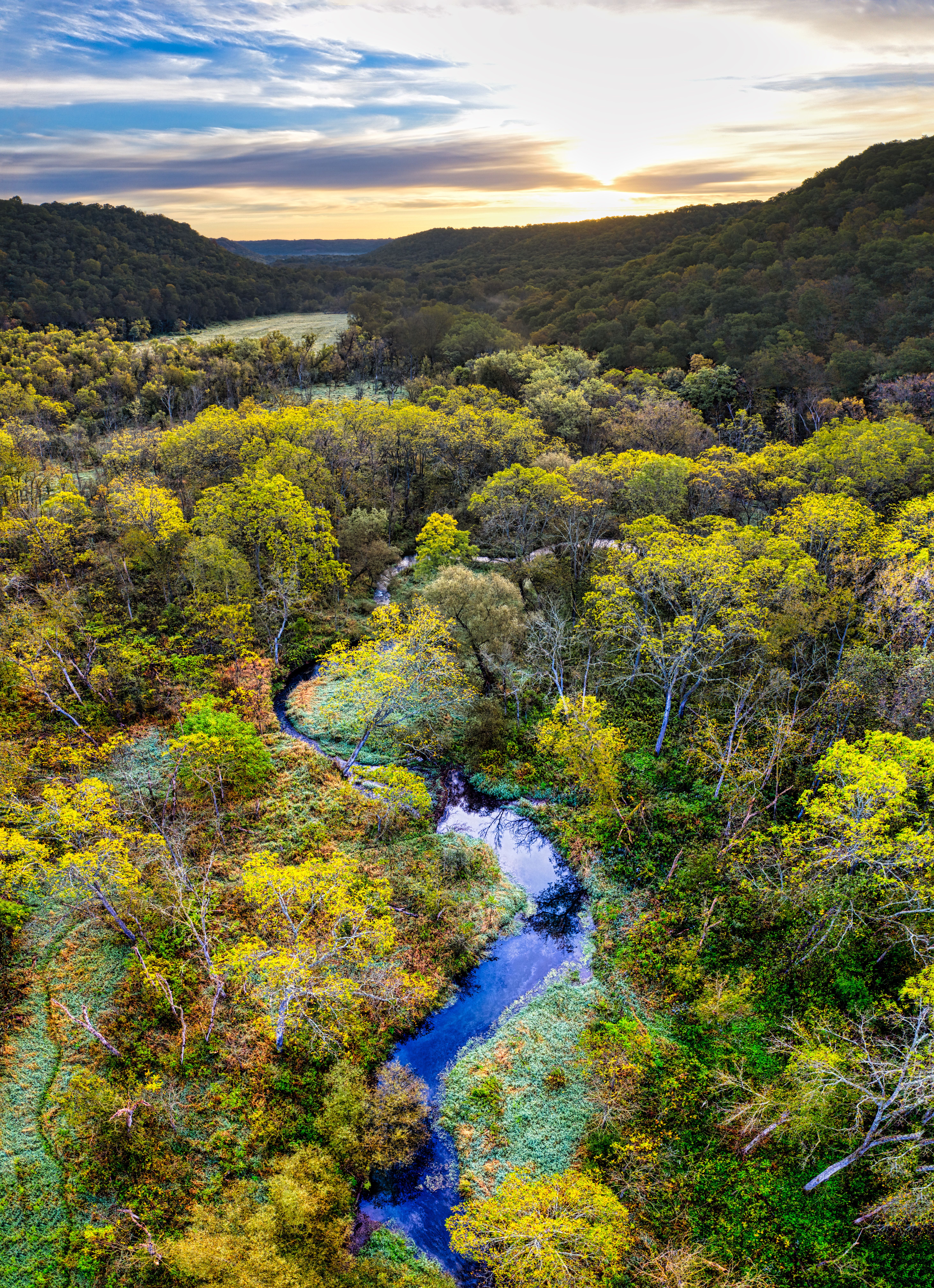Aerial Photography of a Stream Between Green Trees · Free Stock Photo