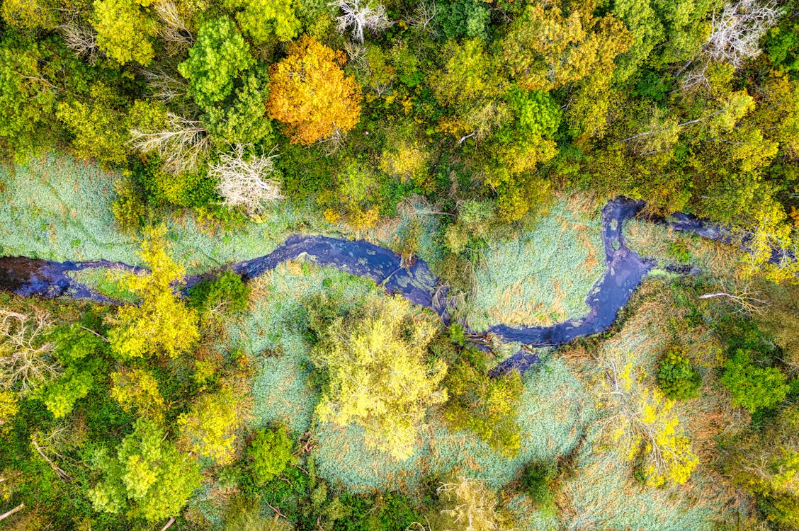 Kostnadsfri bild av drönarbilder, fågelperspektiv, flod