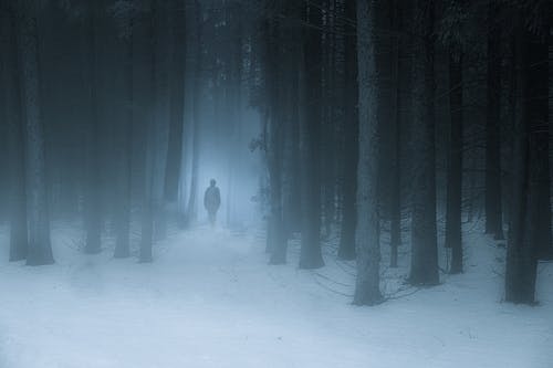 Free A Man Walking on a Snow Covered Forest Stock Photo