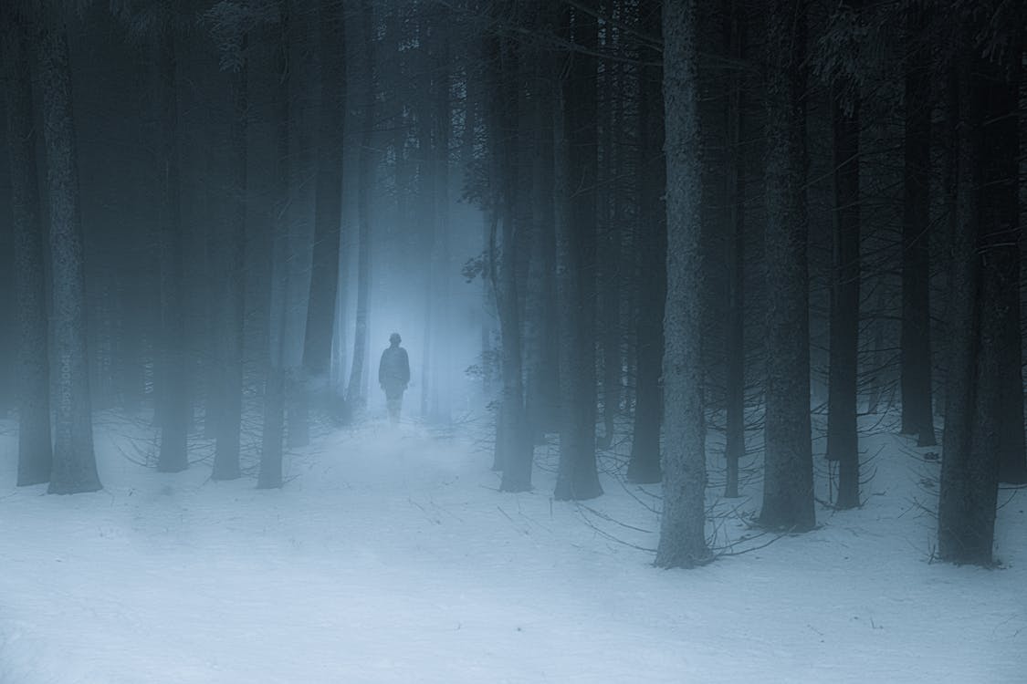 A Man Walking on a Snow Covered Forest