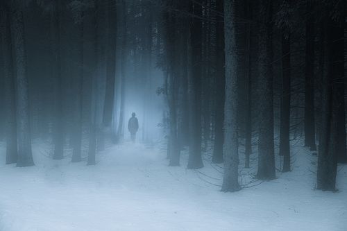 Free Mysterious figure walking through a snowy, foggy forest landscape in winter. Stock Photo